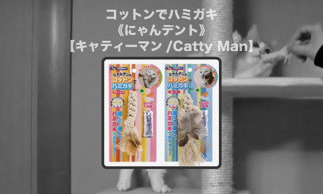 購入前に読むべし】コットンでハミガキ《にゃんデント》【キャティーマン/Catty Man】 | 猫のおもちゃ箱