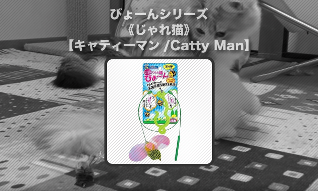 399円 ◇限定Special Price キャティーマン CattyMan じゃれ猫 びょーん お花